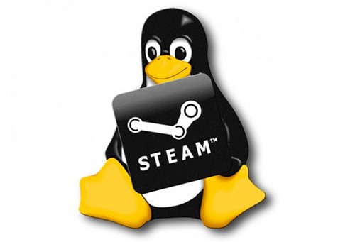 Steam & Linux